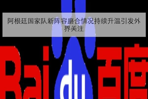阿根廷国家队新阵容磨合情况持续升温引发外界关注 | BAJIESPORTS