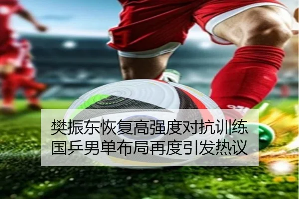 樊振东恢复高强度对抗训练 国乒男单布局再度引发热议
